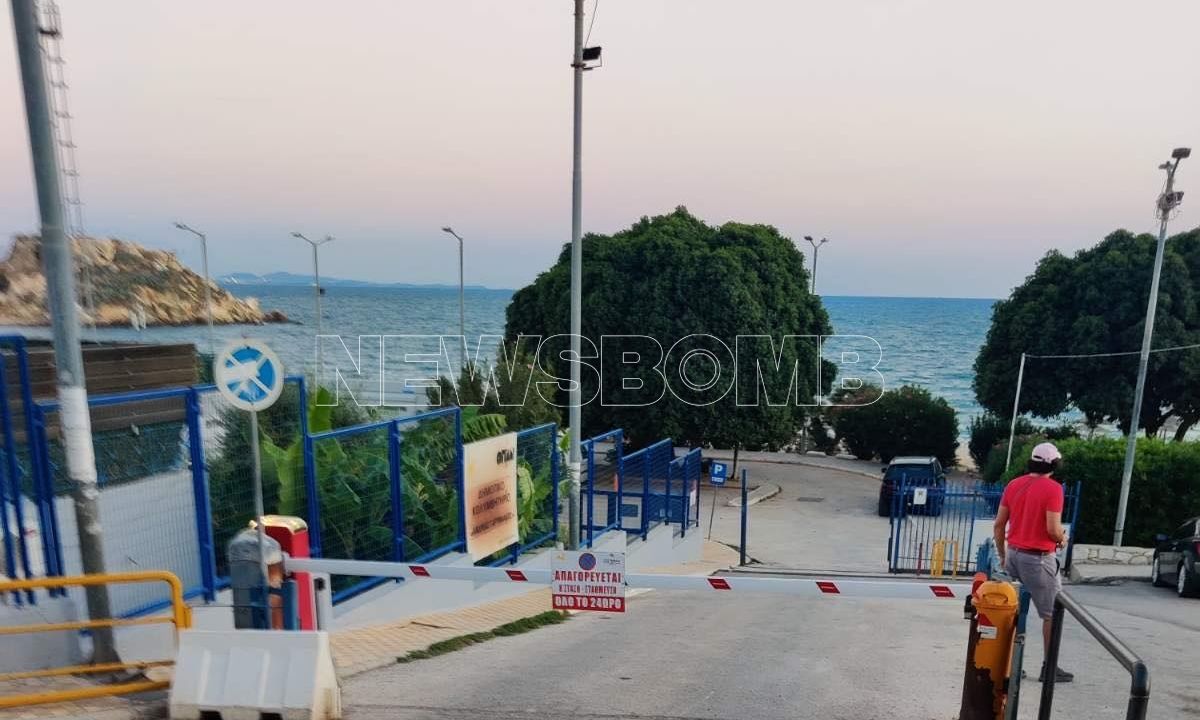 Αύξηση επιθέσεων από αδέσποτα σκυλιά προκαλεί πανικό στους κατοίκους του Πειραιά