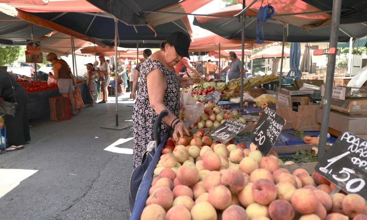 Δυσκολίες και Προβλήματα στον Αγροτικό Τομέα Στην Ελλάδα