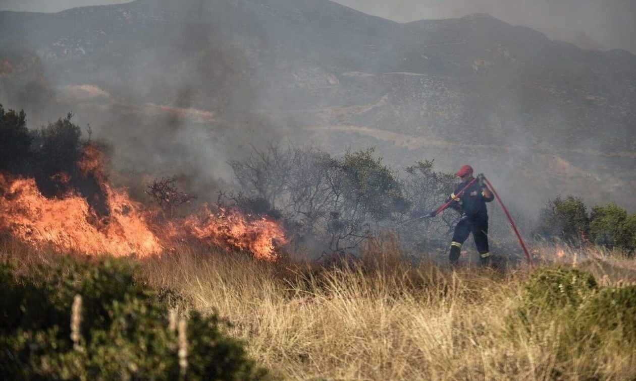 Μάχη με τις Πυρκαγιές και Προτάσεις Αυτοπροστασίας για τους Πολίτες